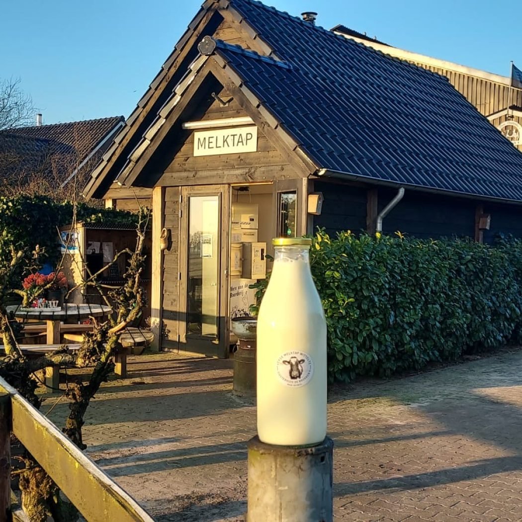 Verse melktap Wittelte